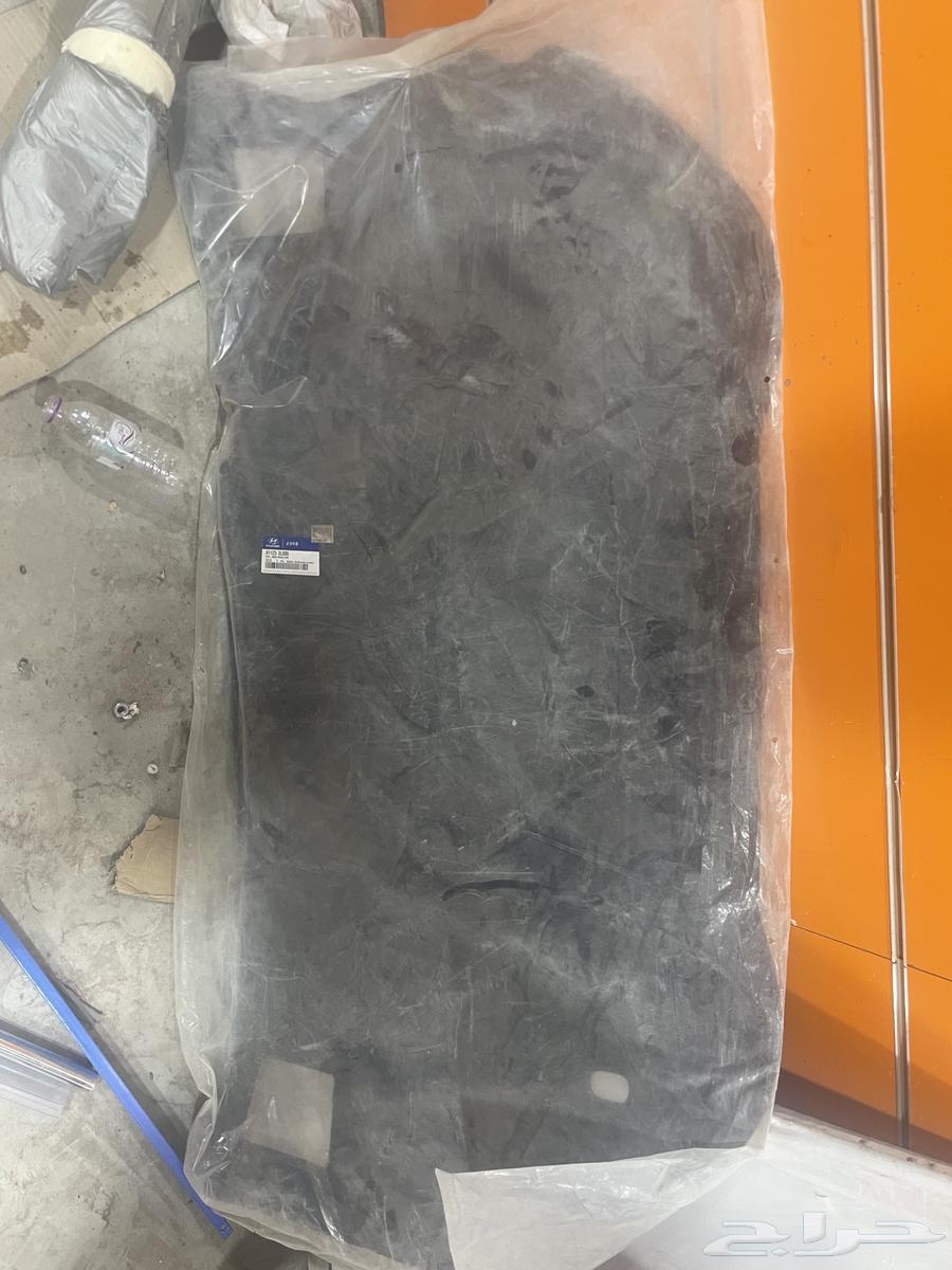 بطانه كبوت أزيرا64229229393794111