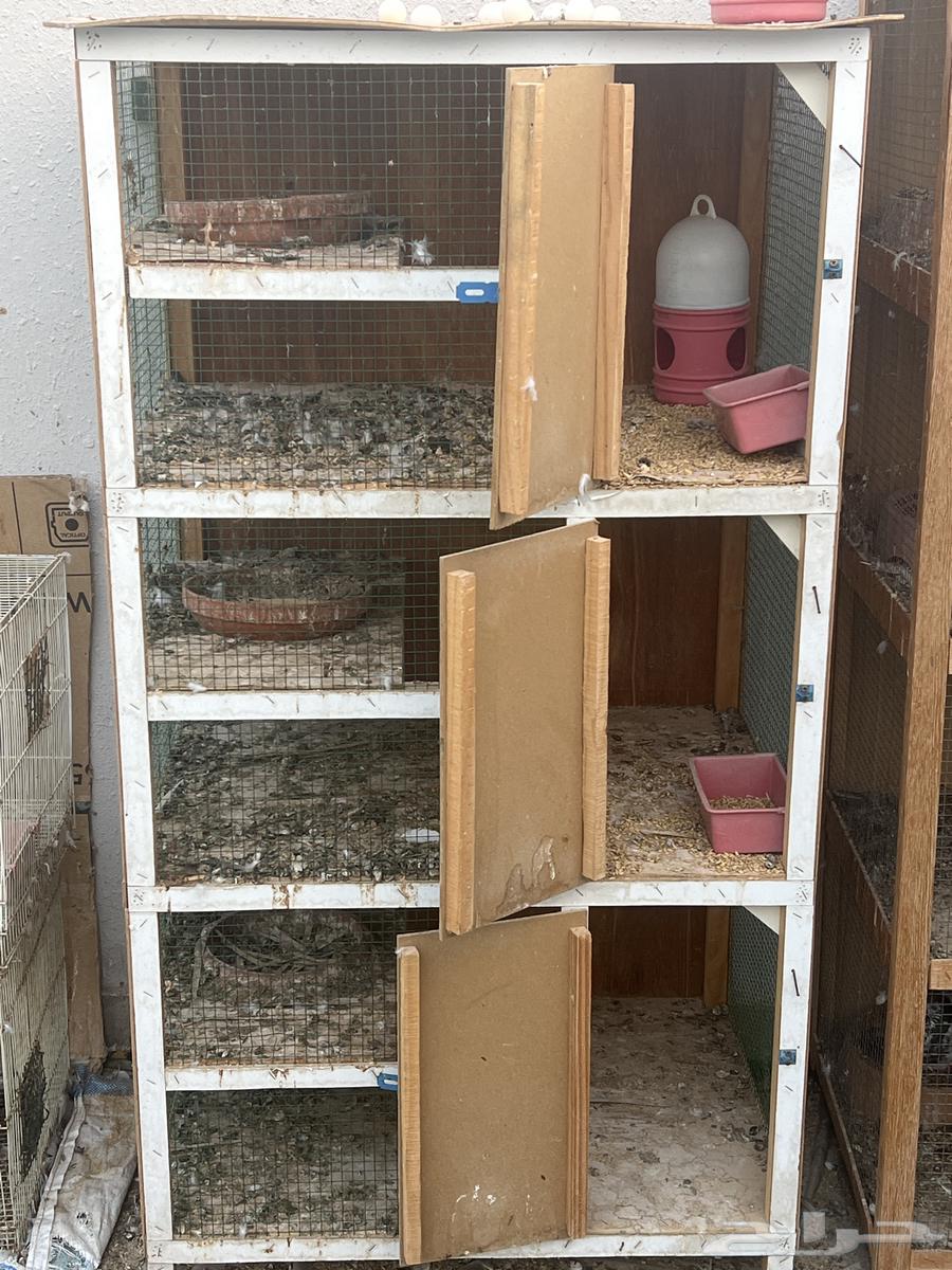 محاكر للبيع اقفاص64222052898179110