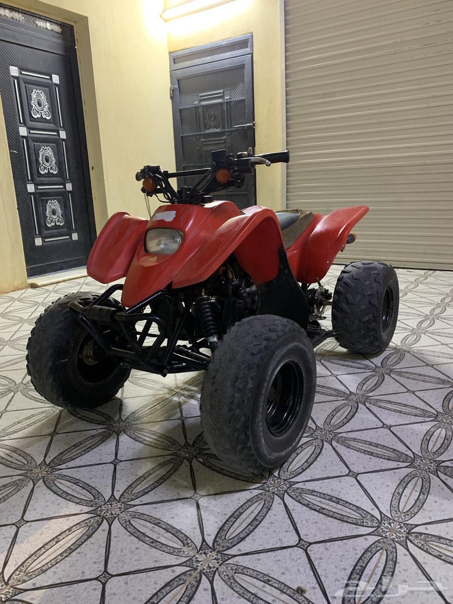 دباب سويدي للبيع64224800272003112