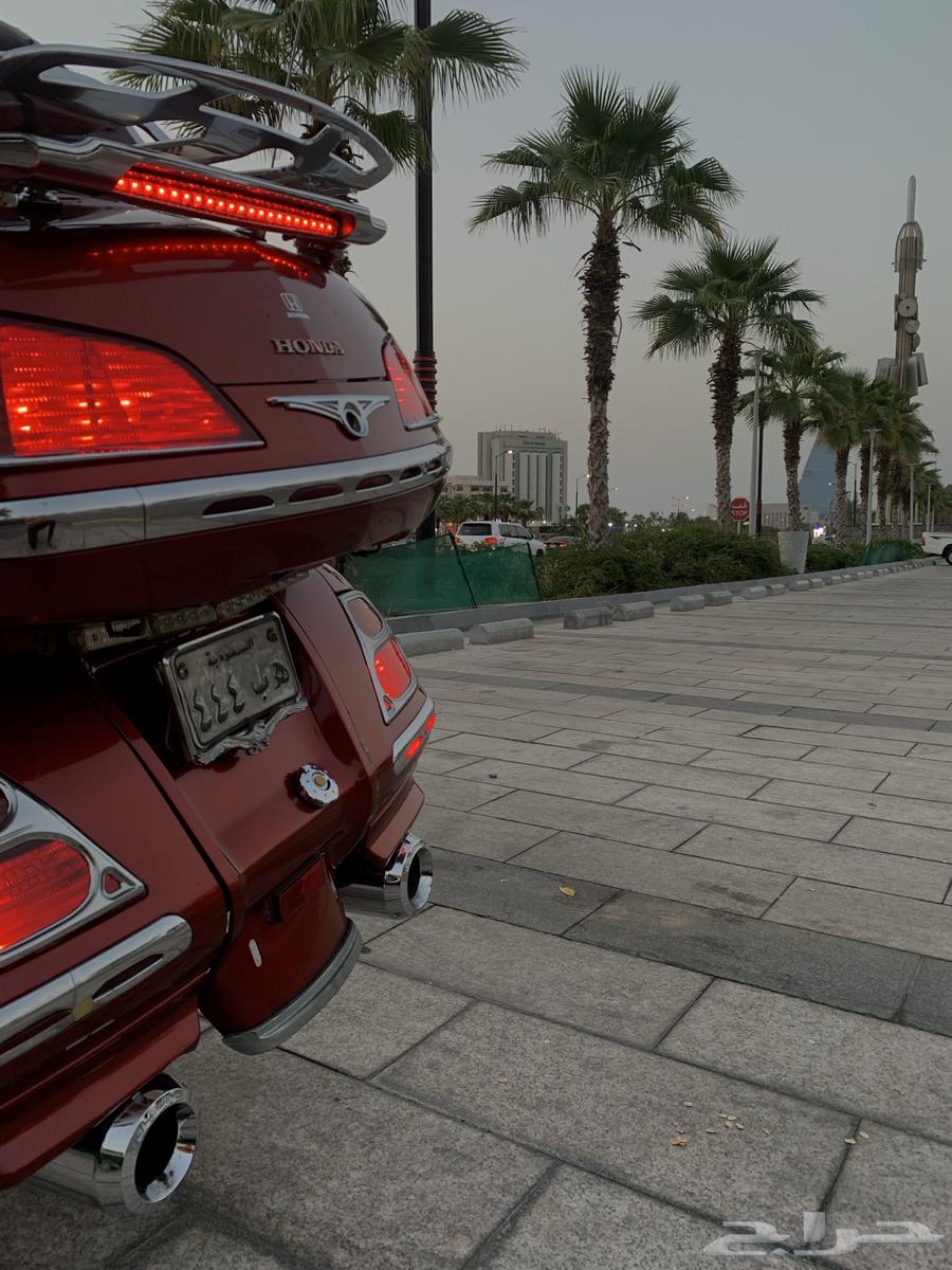 دباب قولد وينغ 200664458274223619112