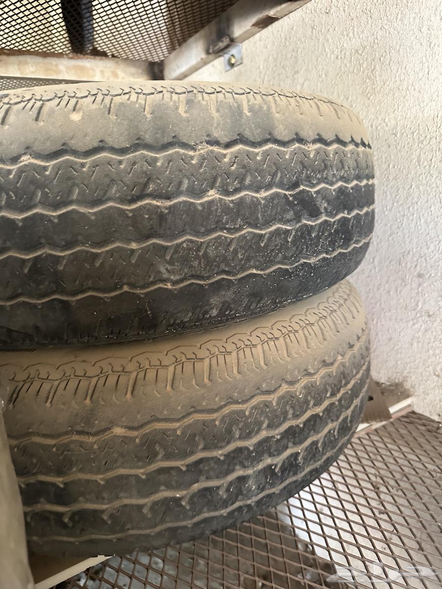 قربه مشققه وكفرات يوكهاما21564212695652739112