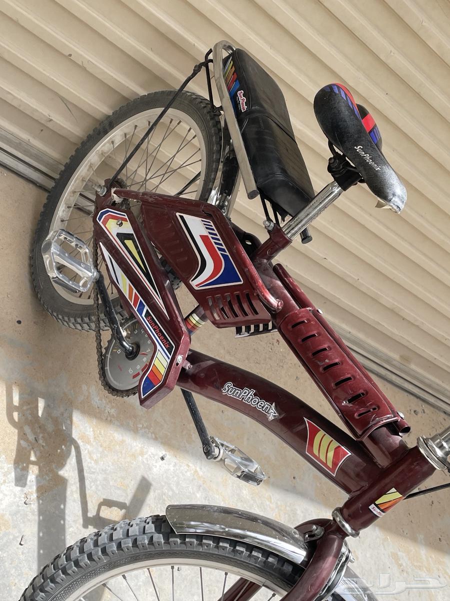 للبيع سيكل في الأحساء الفضول64208658279299111