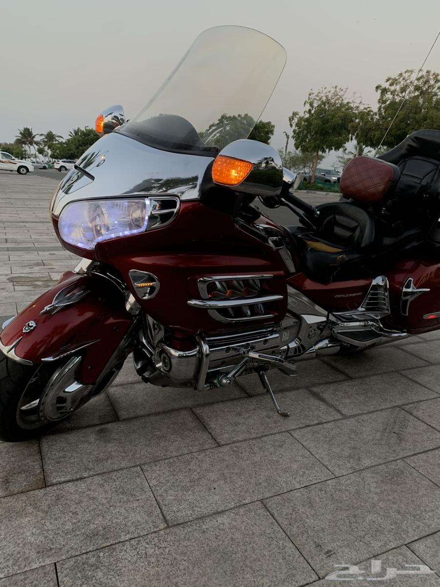 دباب قولد وينغ 200664458274223619110