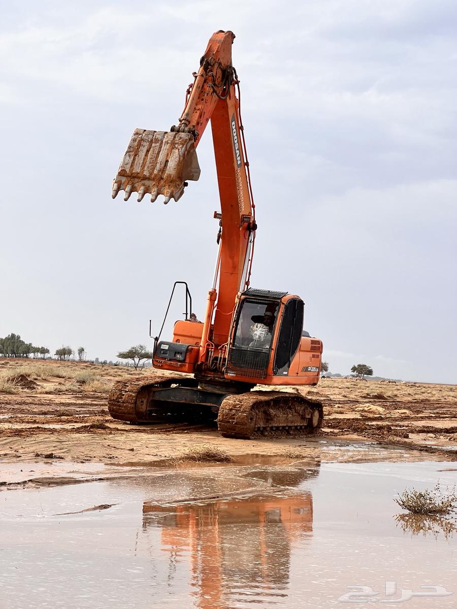 ب لين64210601989121113