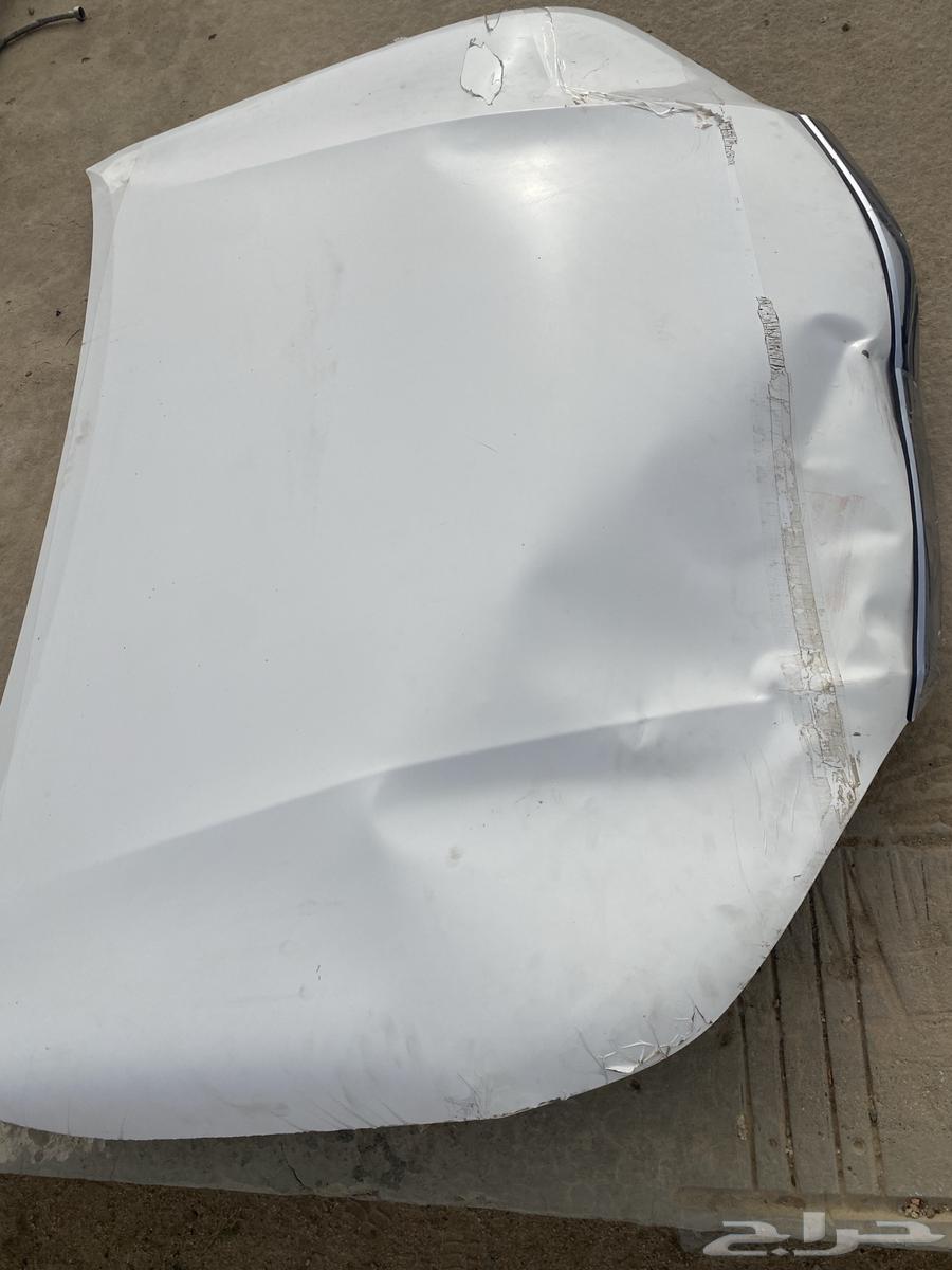 كبوت هايلوكس وكاله202464215552300802114