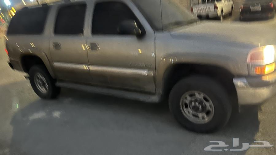 Gams 200264223579999618114