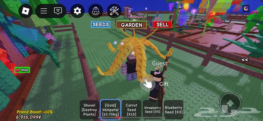 حيوان اخطبوط للبيع64229598530946110