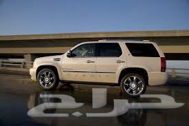 Scalded64229598522882110