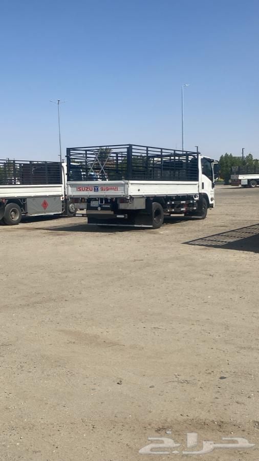 صندوق دينا شد وكاله بلد للبيع64227492404609114