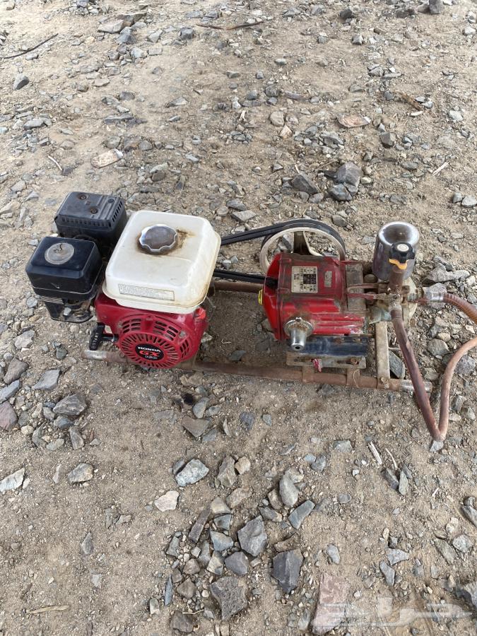 Japanese enzyme developer64211661491459110