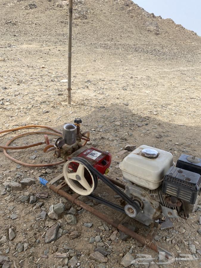 Japanese enzyme developer64211661491459112