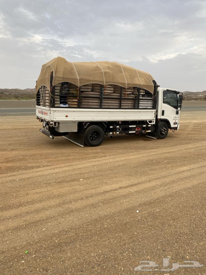 صندوق دينا شد وكاله بلد للبيع64227492404609111