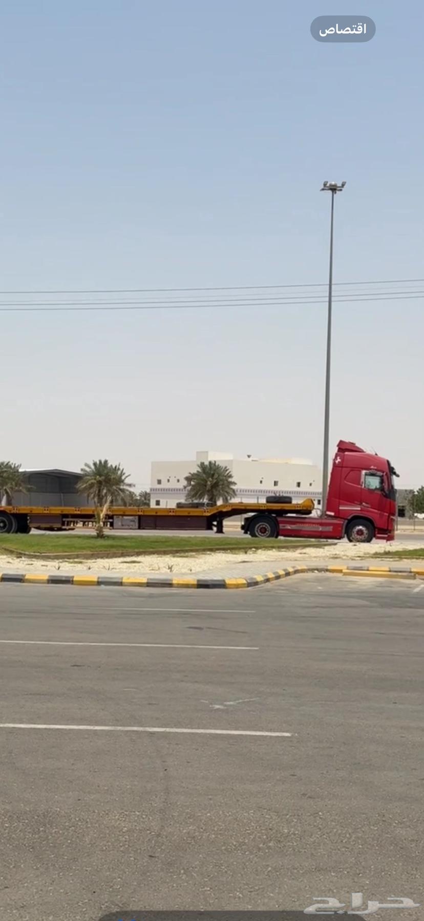 لوبد متواجد القصيم64225918783235111