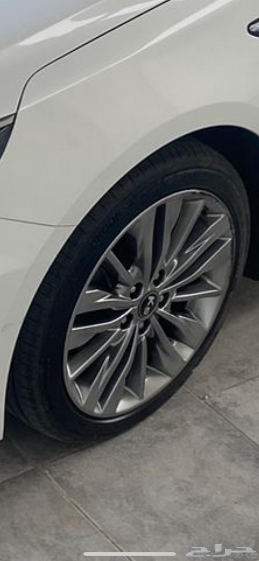 مطلوب جنوط نفس الي في الصوره64210381152515110