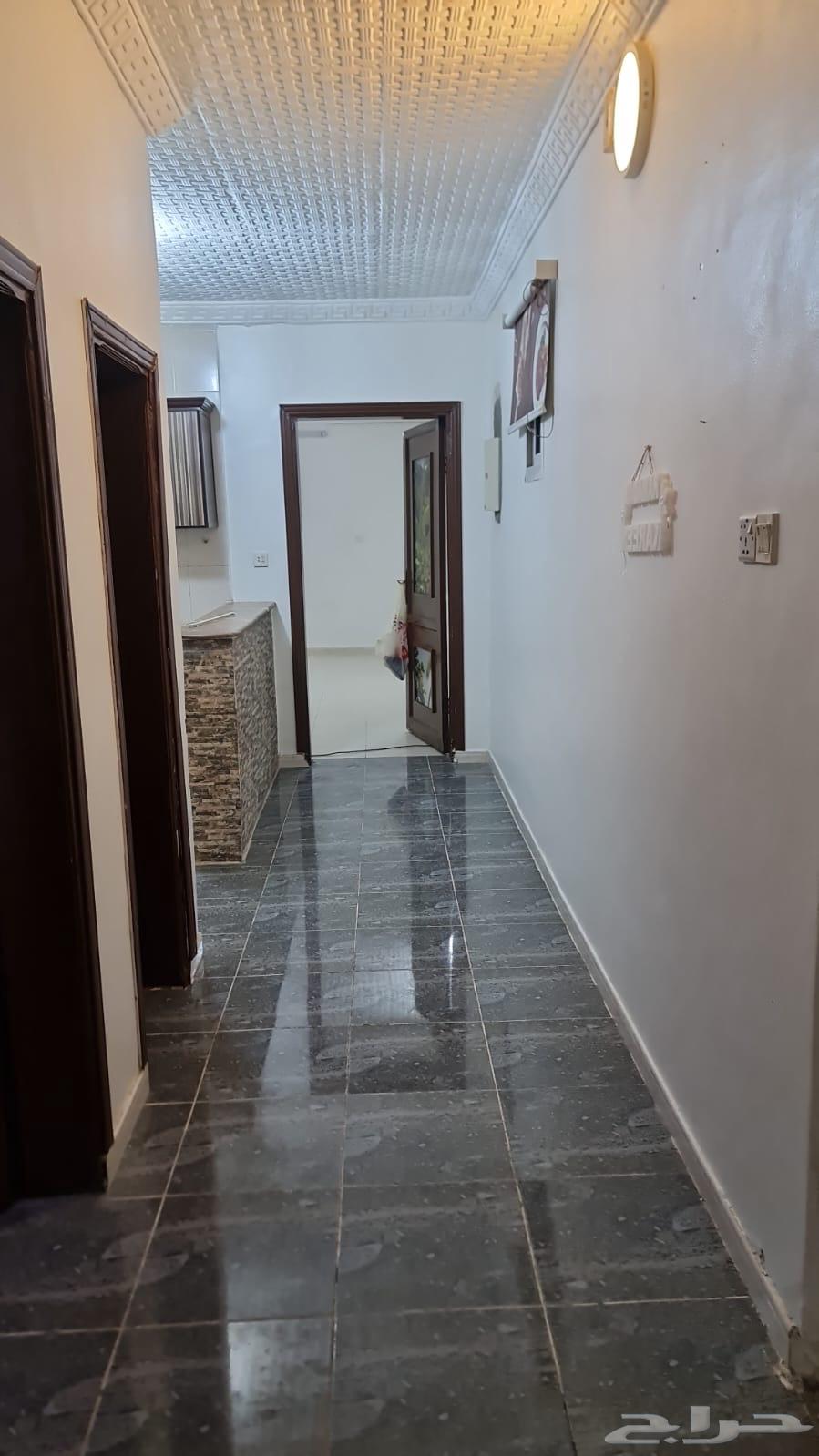 شقة صغيره بالعمره خلف سوق الشوام63614102599939114