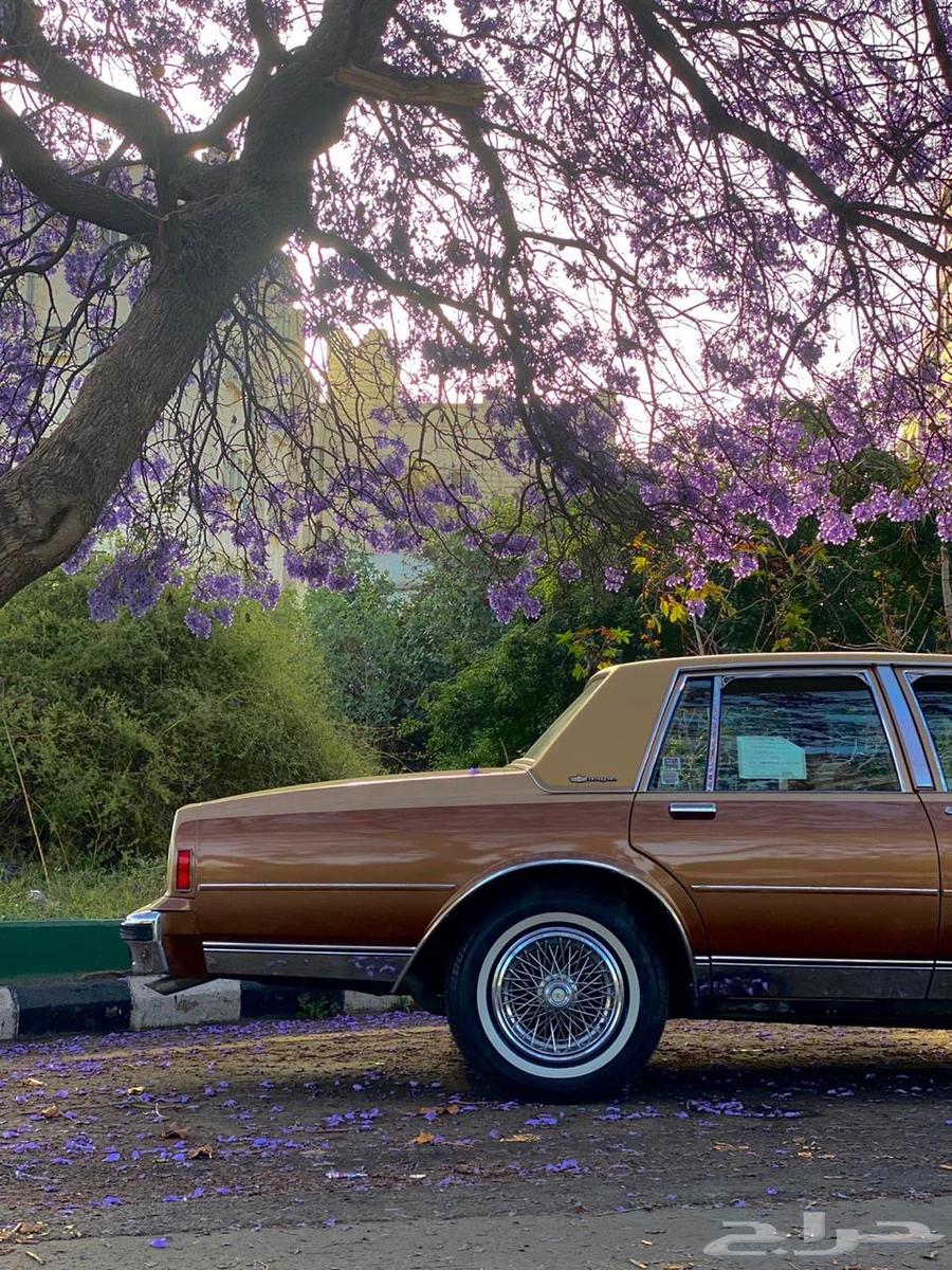 كابريس 1986 كلاسيك للبيع64227304874243113