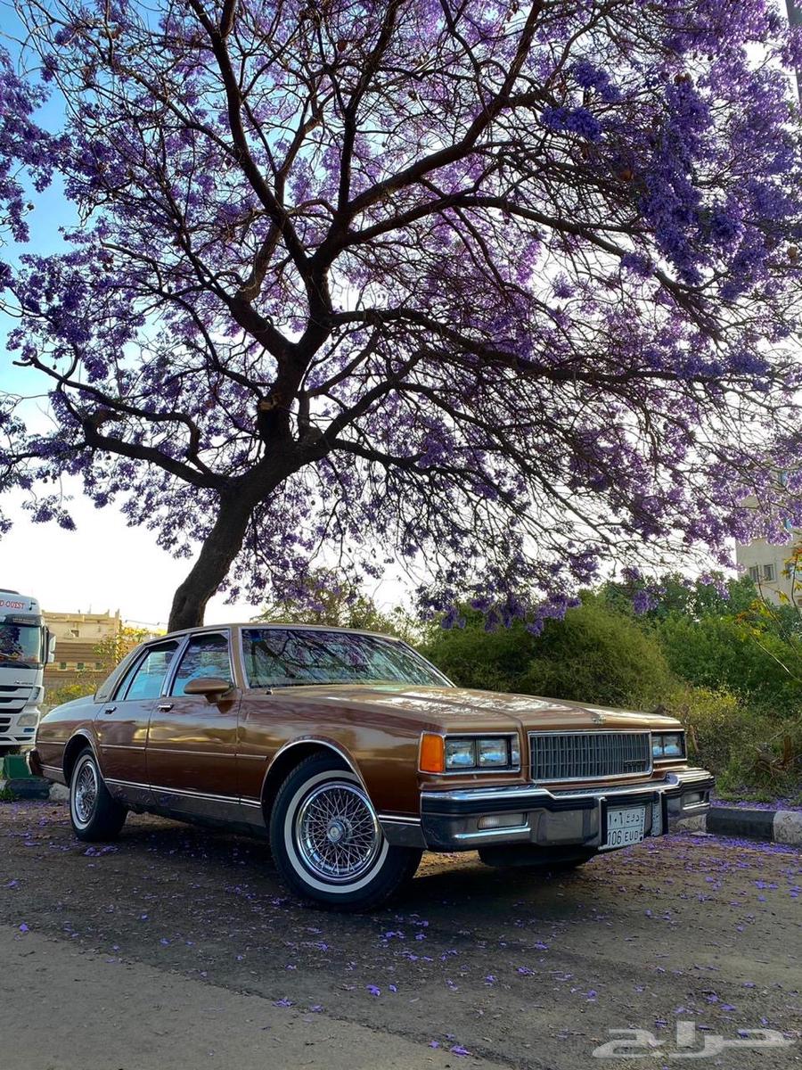 كابريس 1986 كلاسيك للبيع64227304874243111