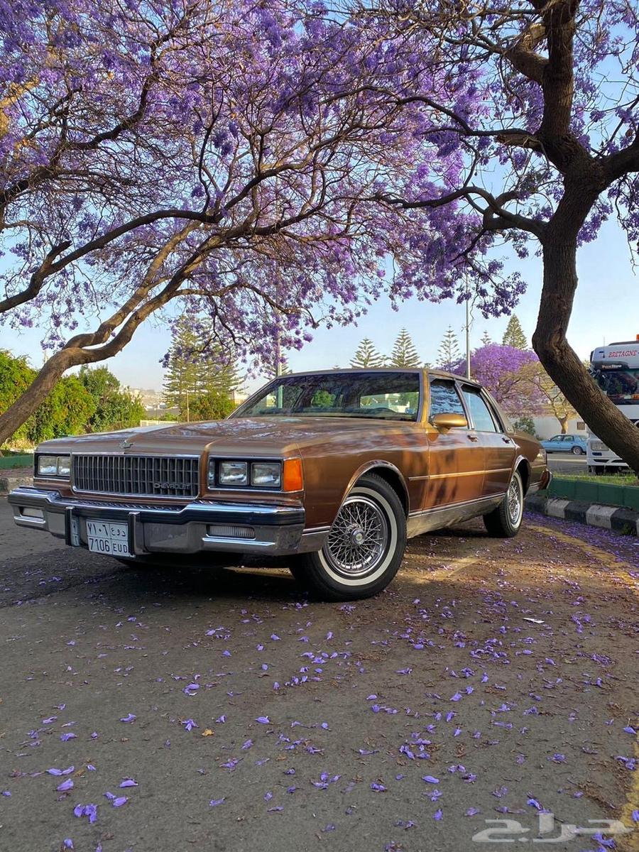 كابريس 1986 كلاسيك للبيع64227304874243110