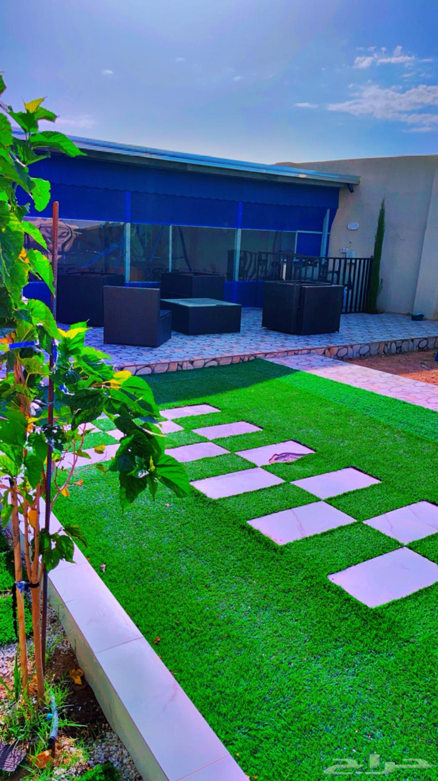 Daily rental lounge63612671961859110