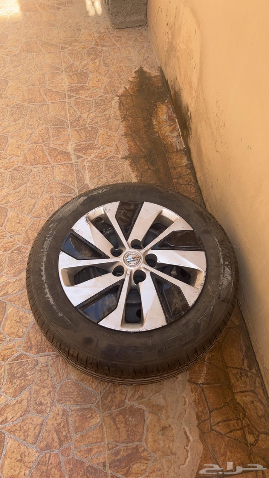 جنوط التيما 202164257526303106110