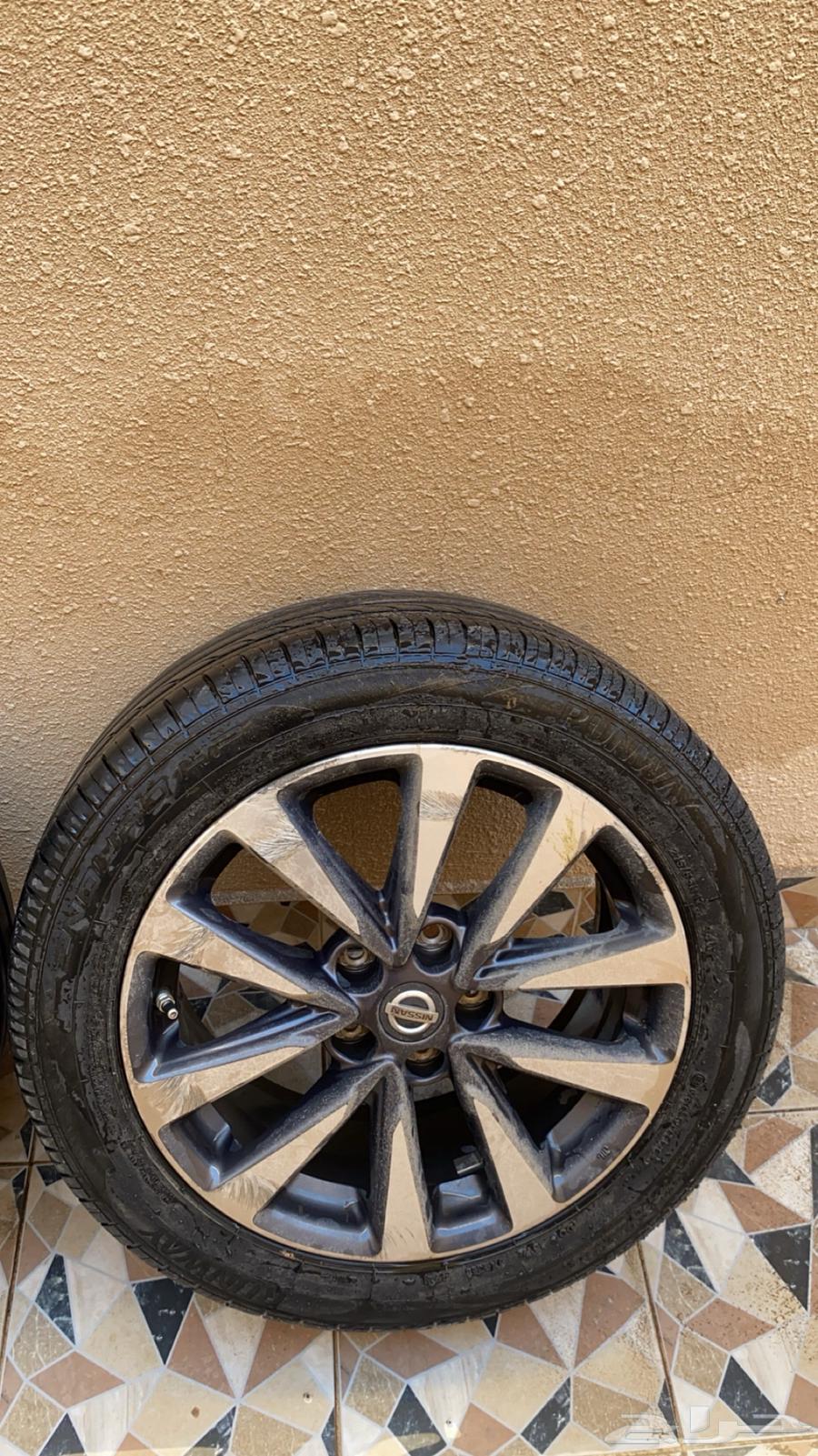 جنوط التيما64244193480707113