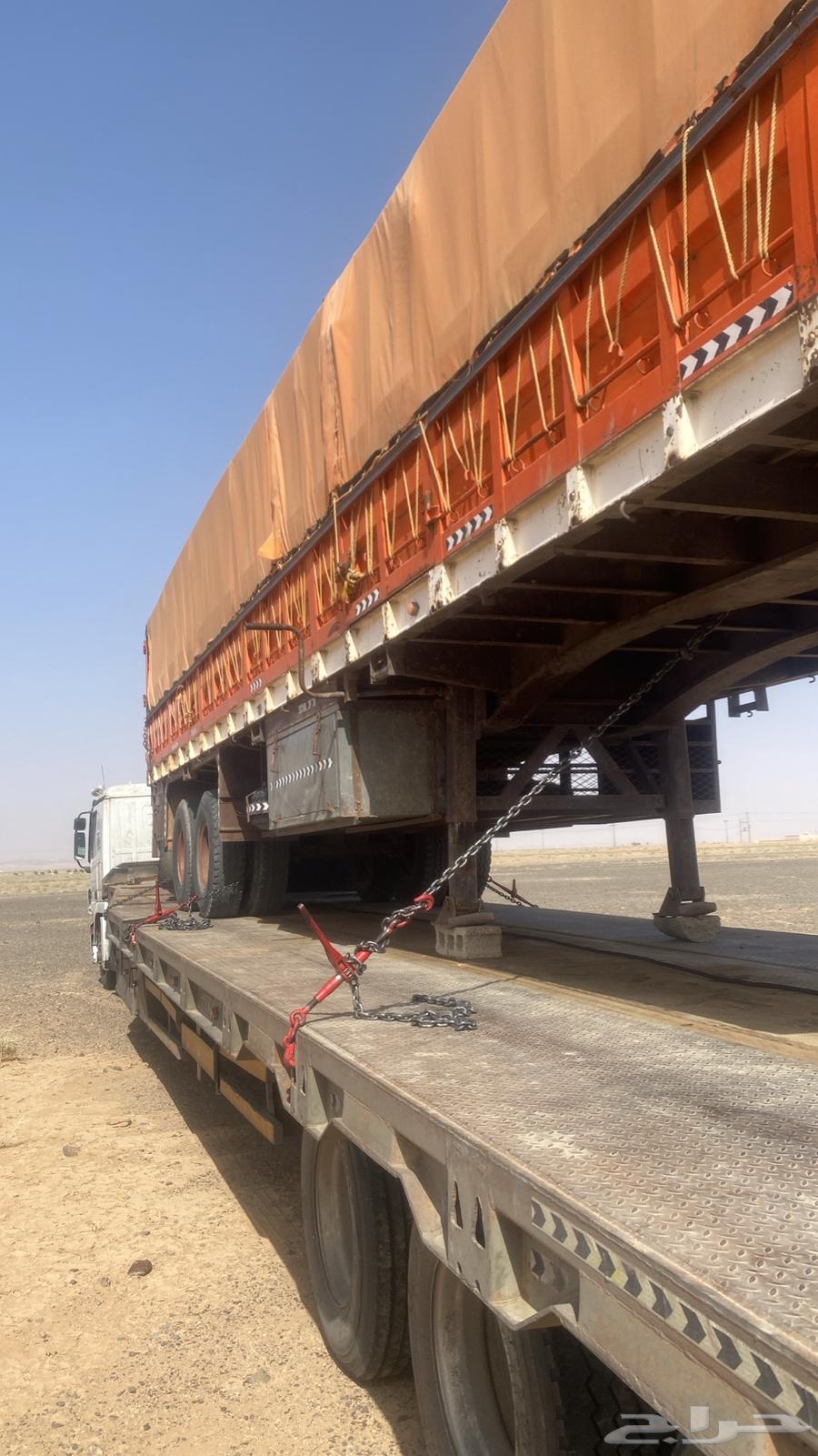 لوبد مكره متواجد في حايل64233444351490110