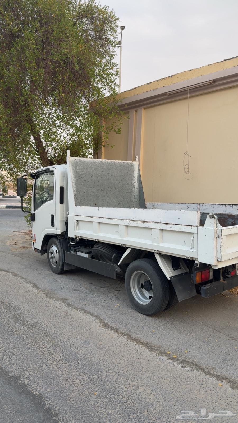 تأجير دينا قلاب 364252587471745110