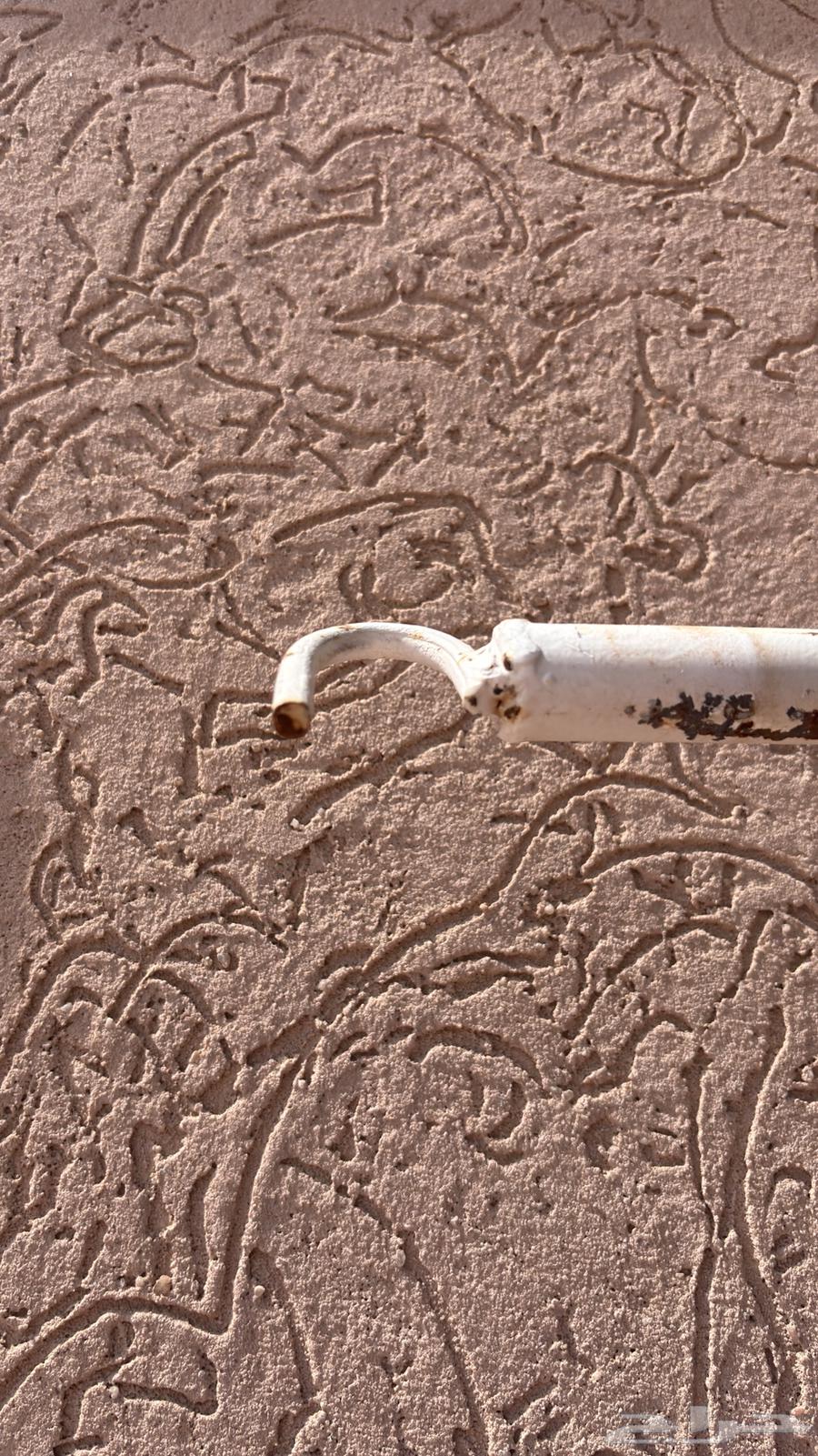 سله لاند كروزر64238498293505113