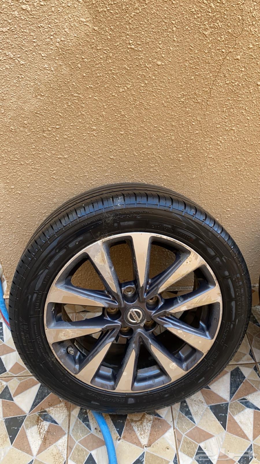 جنوط التيما64244193480707111