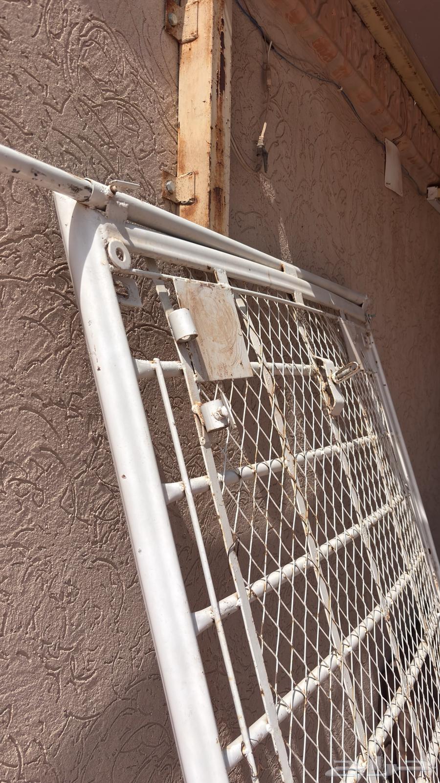 سله لاند كروزر64238498293505114