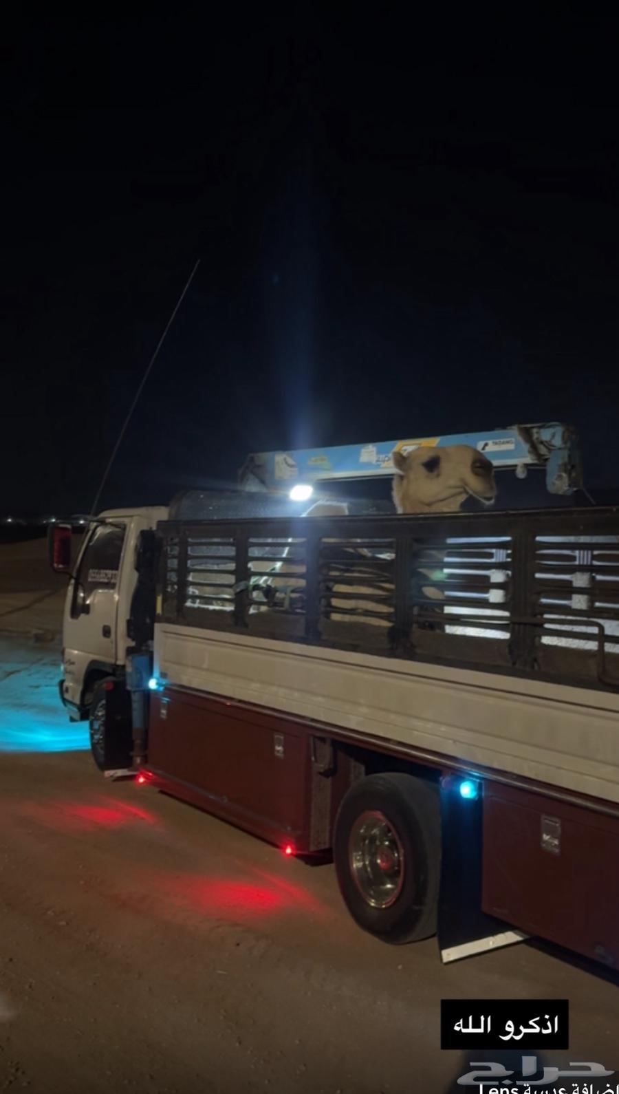 I understand the matter of Riyadh64506380126849113