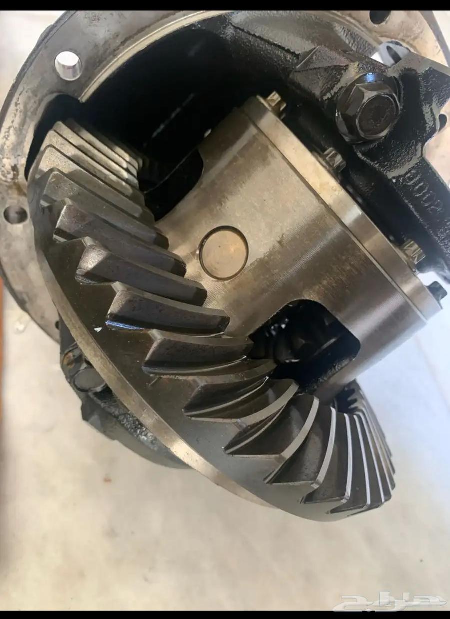 كارونة لاند قيرعادي 200464256552254209110