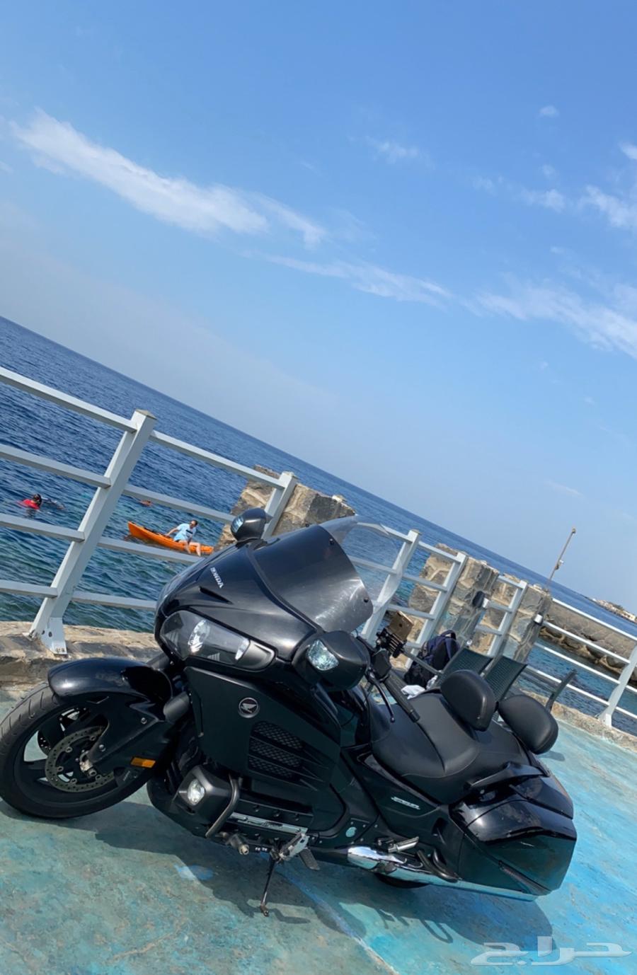 دباب قولد وينق f6b 201464235115802883110