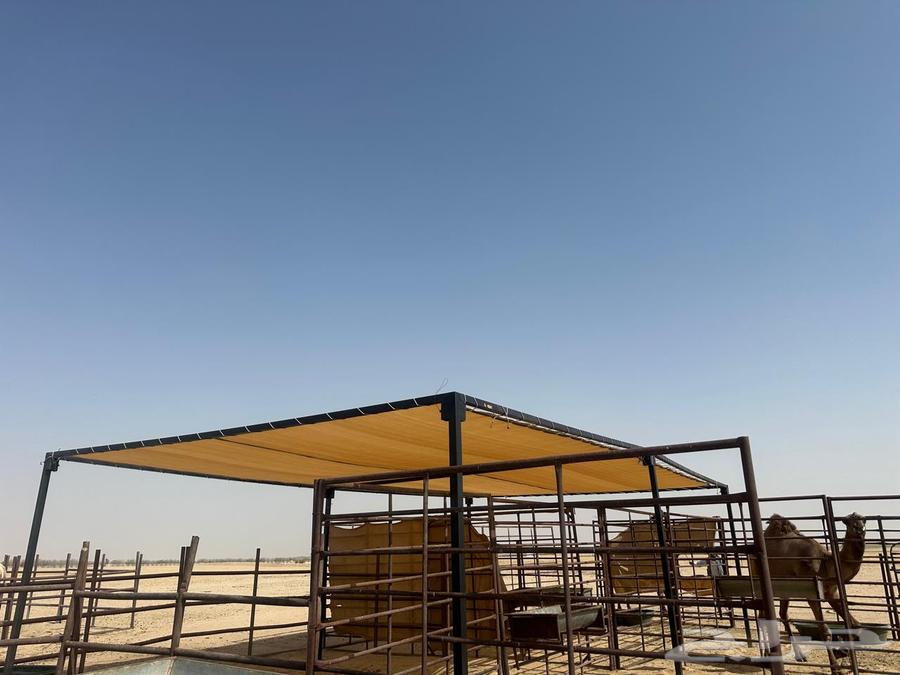 Shelters, Nets, and Toilets63614833589763113