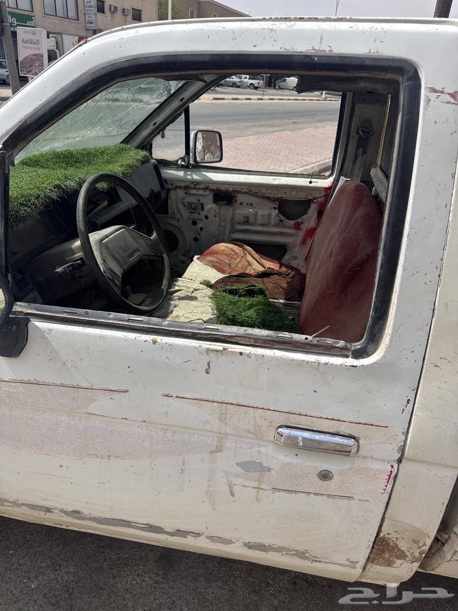 للبيع ددسن 8664244714246273112