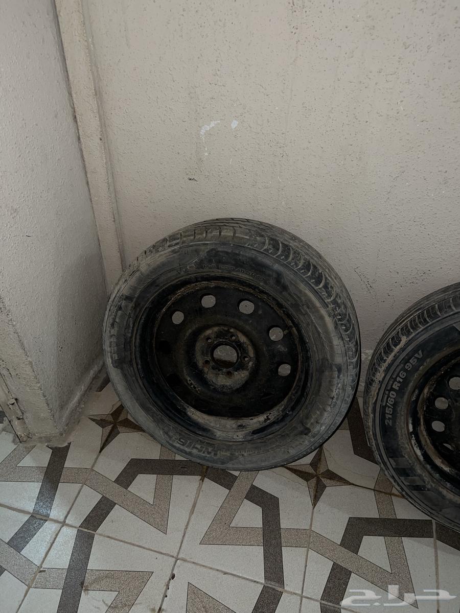 جنوط للبيع. كابرس. و فورد. من 17 إلى 1464257702883715110