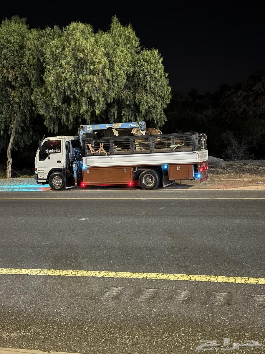 I understand the matter of Riyadh64506380126849111