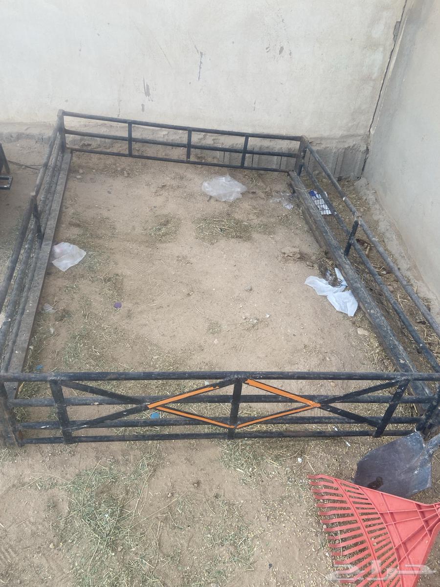 شبك حوض ددسن للبيع64251047880961111