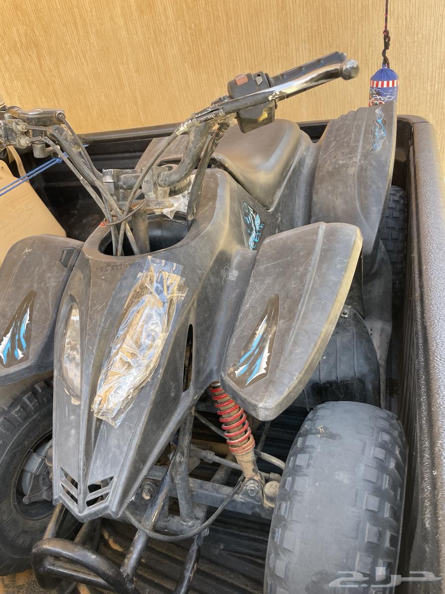 دباب تايوان64244878670081113