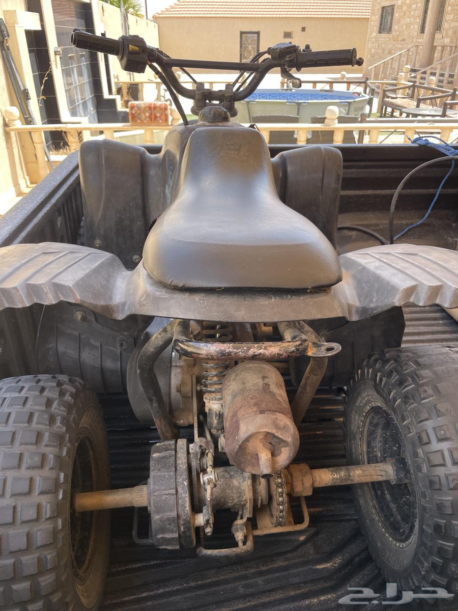 دباب تايوان64244878670081111