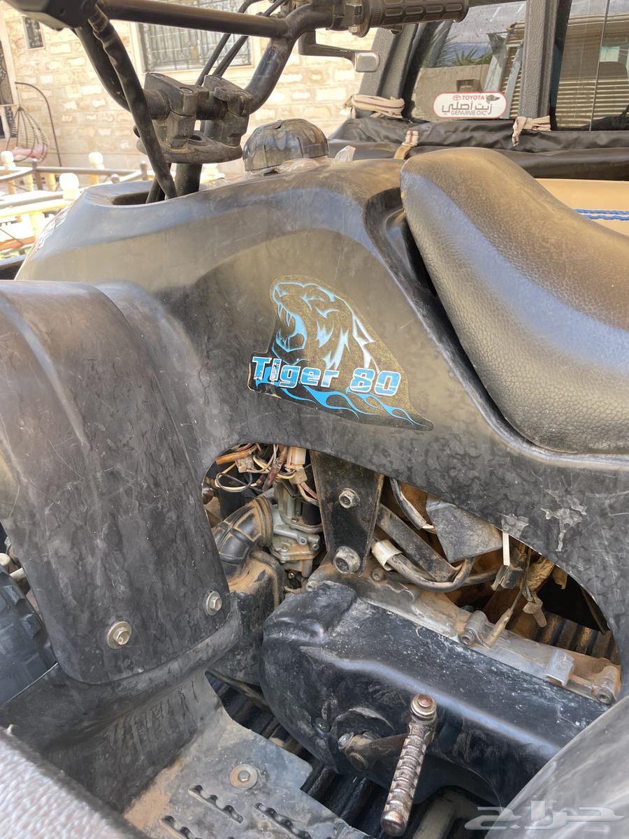 دباب تايوان64244878670081112