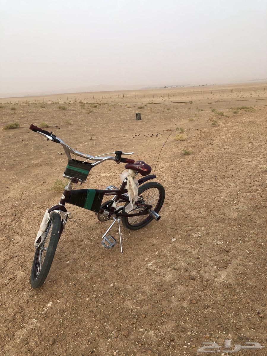 Cobra bike for sale new63972729041153111