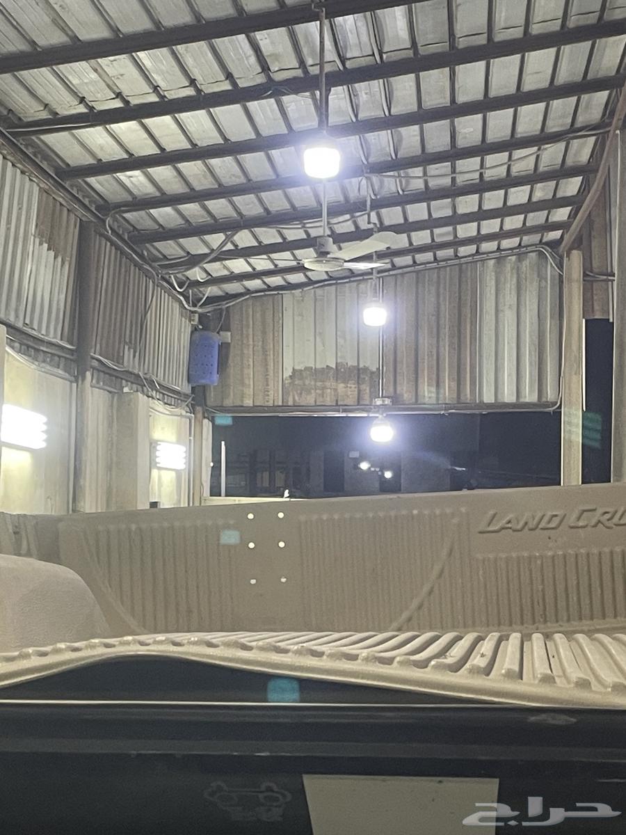 قطع شاص للبيع علي السوم64233596453122111