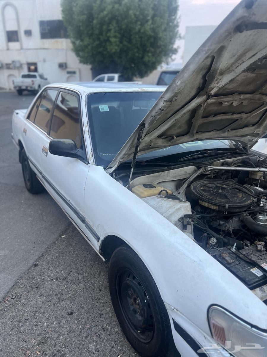 Cressida 9664256409845250111