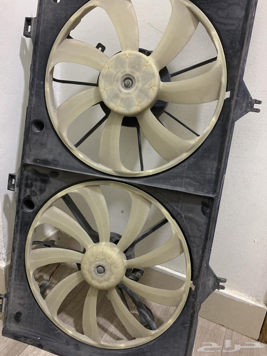 Kamry fan with lights64238323777923111