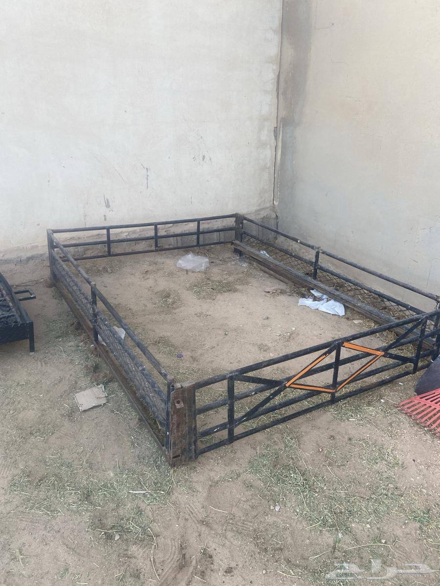 شبك حوض ددسن للبيع64251047880961110