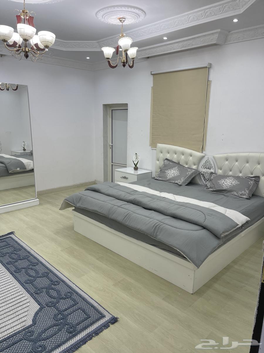 Daily rental lounge63612671961859114