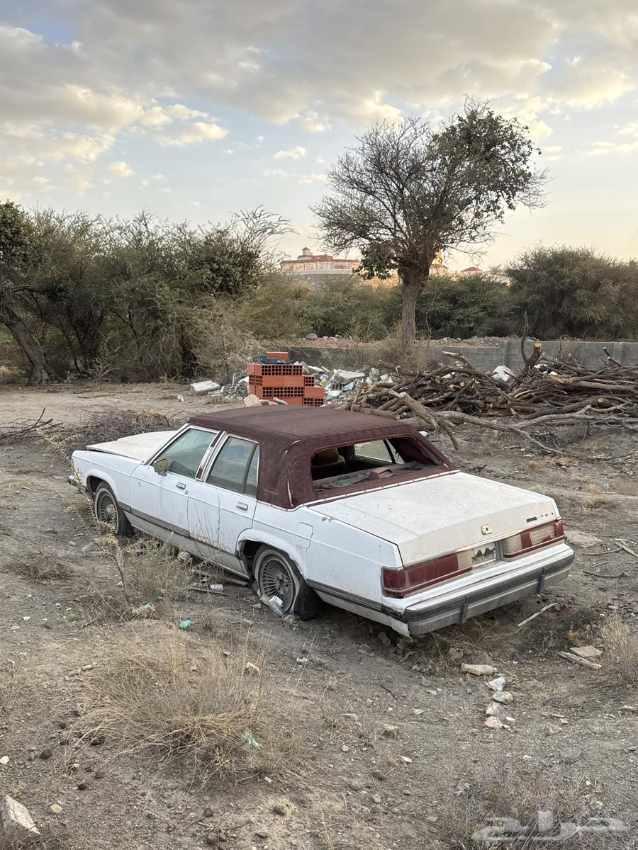 Old Ford Scrap64253244075649110