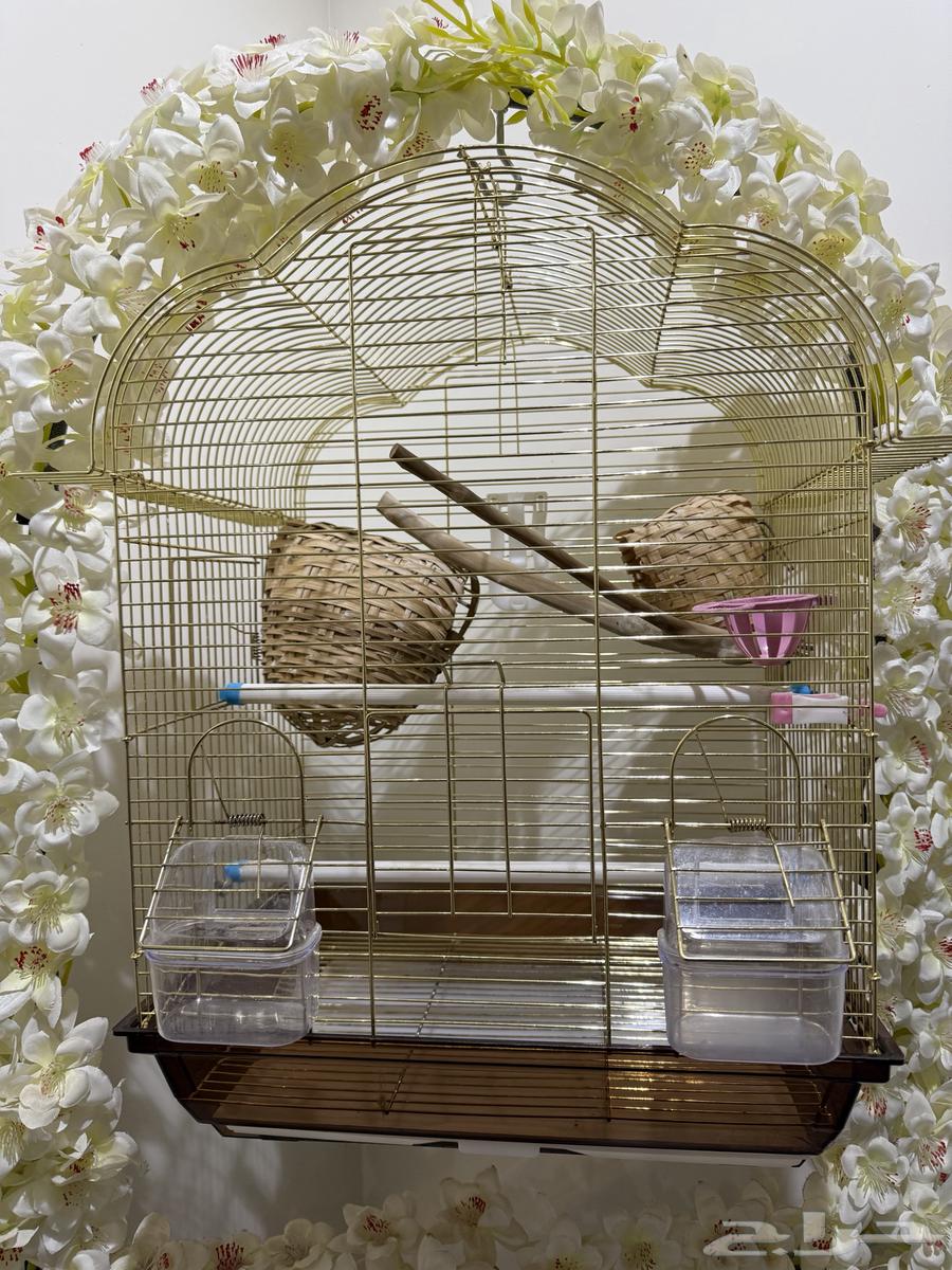 Birdcage stand and cage63977863449347111