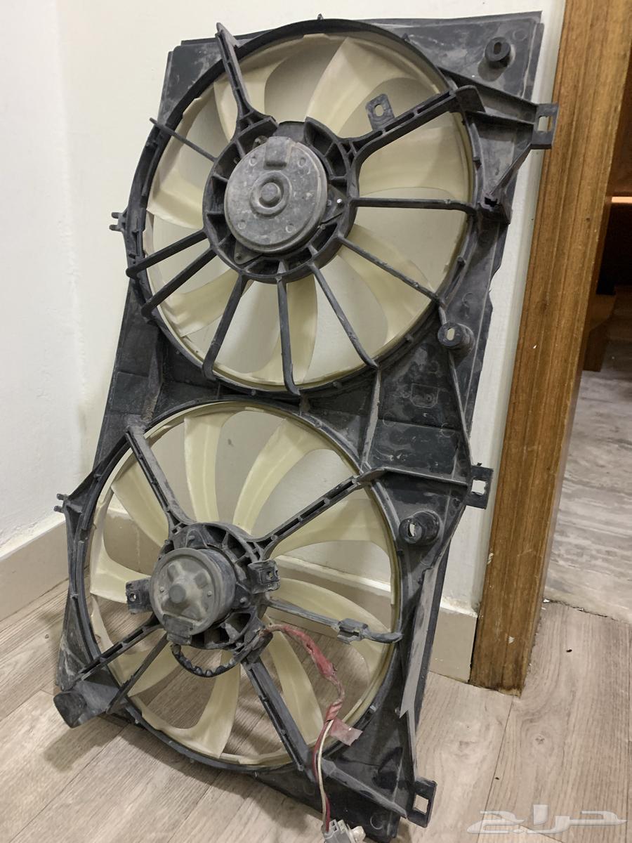 Kamry fan with lights64238323777923110